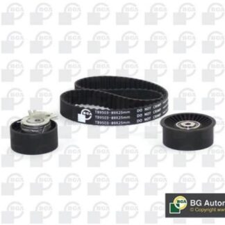 EKSANTRIK TRIGER RULMAN KITI DOBLO LINEA LANCIA DELTA EGEA GIULIETTA 1,6 MULTIJET 07>