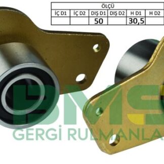 EKSANTRIK GERGI RULMANI BUYUK CLIO KANGOO MEGANE R19 1.8 16V 1.9 D 2.0 16V 91>