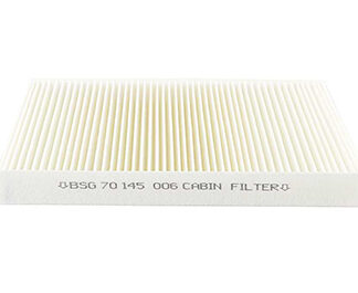 POLEN FILTRESI KARBONSUZ B.M 307/308/C2/C3/C4/DS4 03-