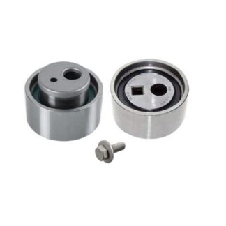 EKSANTRIK GERGI RULMANI 1.9 DW8 PARTNER/306/206 99-