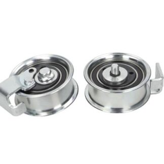 EKSANTRIK GERGI RULMANI PASSAT-A4-A6 ADR-AEP-APU-AWT 1,8 1,8 T 97-00
