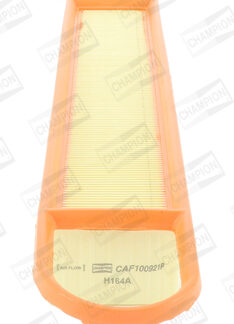 HAVA FILTRESI EP6C 1.6 16V 207/208/308 07-