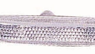 CAMURLUK SINYALI SAG BEYAZ E46 99-01