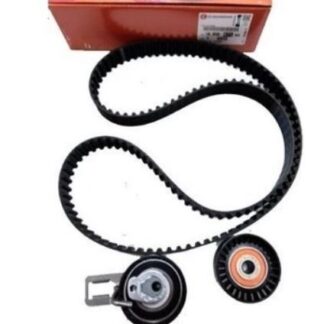 TRIGER EKSANTRIK GERGI SETI P206 + T3E 208 207 DS3 C3 III DV4C FORD FIESTA 1.4TDCI EURO5 MOTOR 139 DIŞ KAYIŞ
