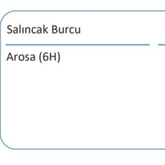 SALINCAK BURCU ON KUCUK POLO 95>02