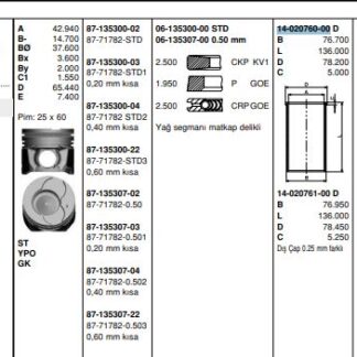 MOTOR GOMLEK P107 P1007 P206 P307 BIPPER NEMO C1 C2 C3 XSARA II DV4TD (1,4HDI 8V) FORD FIESTA 1,4TDCI (73,70) / (STD)