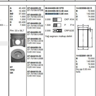 MOTOR SEGMANI LINEA GRANDE PUNTO ASTRA 1,3CDTI 16V MULTIJET 90HP (100)