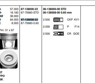 MOTOR PISTON SEGMAN DUCATO DAILY (02 06) F1AE0481C (2,3JTD 16V) EURO 3 110HP (88,60MM) / (0,60 FARKLI)