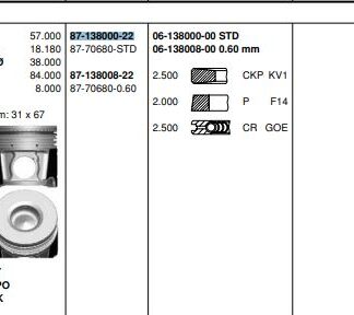 MOTOR PISTON SEGMAN DUCATO DAILY (02>06) F1AE0481C (2,3JTD 16V) EURO 3 110HP (88,00MM) / (STD)