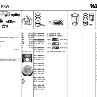 PISTON SEGMAN P107 P1007 P206 P307 BIPPER NEMO C1 C2 C3 DV4TD (1,4HDI 8V) FORD FIESTA 1,4TDCI (73,70) / (STD 0,20 KISA)
