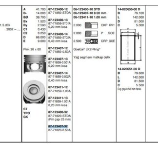 MOTOR PISTON+SEGMAN CLIO SYMBOL KANGOO MODUS THALIA (PIM CAPI 25MM) (1,5DCI K9K EM) [(76MM) (+0.50MM)