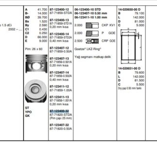 MOTOR PISTON+SEGMAN CLIO SYMBOL KANGOO MODUS THALIA (PIM CAPI 25MM) (1,5DCI K9K EM) [(76MM STD)