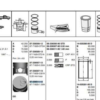 MOTOR PISTON+SEGMAN R19 EXPRES KANGOO 1.9D F8Q 97> (80MM) / (+100MM)