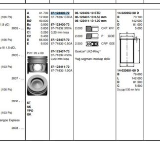 MOTOR PISTON+SEGMANI MEGANE II SCENIC CLIO III MODUS LAGUNA III KANGOO (1.5DCI EURO4 K9K) [(76.00MM STD)]