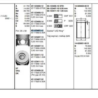 MOTOR PISTON+SEGMAN CLIO KANGOO (PIM CAPI 26MM) (1.5 DCI K9K BP) [(76.00MM STD (+0.50MM)]