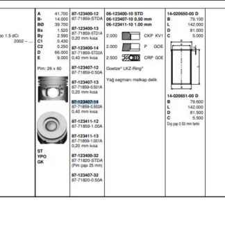 MOTOR PISTON+SEGMAN CLIO KANGOO (PIM CAPI 26MM) (1.5 DCI K9K BP) [(76.00MM STD (+0.50MM)] (0.40 KISA)