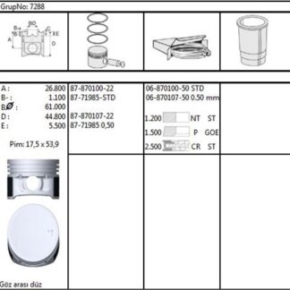 MOTOR PISTON SEGMAN STD 69,00MM 1,2 CLIO SANDERO LOGAN D4F 732-734 73-75PS