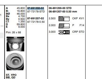 PISTON+SEGMAN (81,01mm STD) LT28 LT35 LT46 (2,5 109 PS 5 SILINDIR) AVR BBR