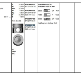 PISTON SEGMAN KITI 207 208 2008 206+T3E DS3 C3 III DV4C 1.4HDI 8V FORD FIESTA 1.4TDCI 74.20MM (0.50- 0,20 KISA) EURO5 MOTOR