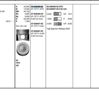 PISTON SEGMAN KITI P207 P208 P2008 P206+ (T3E) DS3 C3 III DV4C (1,4HDI 8V) FORD: FIESTA 1,4TDCI (73,70MM) / (STD) EURO5 MOTOR