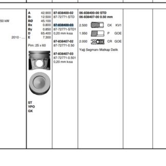 PISTON SEGMAN KITI 207 208 2008 206+T3E DS3 C3 III DV4C 1.4HDI 8V FORD FIESTA 08> 17 1.4TDCI 73.70MM (STD, 0,20 KISA) EURO5 MOTOR