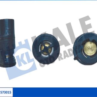 TERMOSTAT KOMPLE EGR VALFI M43-N40-N42-N46-M52-M54 E46-X3 E83-X5 E53 99-07