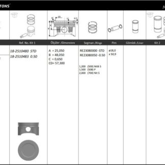 MOTOR PISTON+SEGMANI ( RIKEN ) 79,00+0,50mm CAP FOCUS 1,6I 16V-CMAX 4 SIL. BENZINLI 1596CC-100 115 PS TIRNAKSIZ