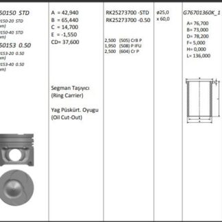 MOTOR PISTON+SEGMANI ( RIKEN ) 73,70+STDMM(-20) CAP FIESTA V 1.4 TDCI FUSION 1.4 TDCI MAZDA 2 1,4D C2 1.4 HDI C3 I 1.4 HDI XSARA 1. 4 HDI NEMO 1.4 HDI 1007 1.4 HDI 107 1.4 HDI 206 1.4 HDI 207 1.4 HDI 307 1.4 HDI BIPPER 1.4 HDI DV4TD-DV4 TED-DV4CTED-F6JA-F6JB-8HX-8 4 SIL. DIZEL 1399 CC-50 KW (68 PS)