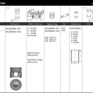 MOTOR PISTON+SEGMANI ( RIKEN ) 73,70+STDmm CAP FIESTA V 1.4 TDCI DV4C EURO 5 4 SIL. DIZEL 1398CC-68 HP 50 KW