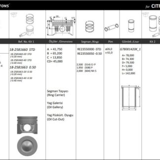 PISTON SEGMAN TAKIM (STD) ( RIKEN ) P308 P3008 PARTNER TEPE P207 P508 P5008 EXPERT III JUMPY III SCUDO III C3 III DS3 DS5 C5 III C4 PICASSO DV6C P301 C ELYSSE P308 DV6DTED (1,6HDI 8V) FORD: FOCUS 1,6TDCI 11> EURO5