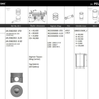 MOTOR PISTON + SEGMAN ( RIKEN ) 86,01+0,50 TRANSIT 2.2TDCI JUMPER 2.2 HDI DUCATO 100MTJ BOXER QWFB V347 DURATORQ EURO4 DURATORQ V347 D 4 SIL. DIZEL 2198C 100/120/130PS 17,5:1