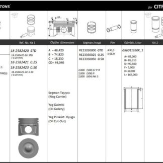 MOTOR PISTON+SEGMAN ( STD ) TRANSIT EURO5 2.2TDCI V347 – V362 – V363 – RANGER 2.2 155PS BOXER – JUMPER 130PS