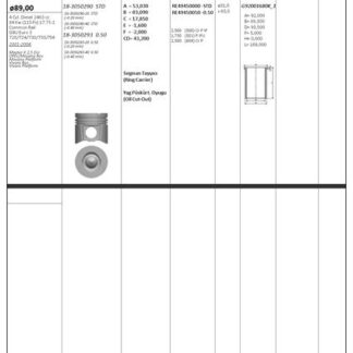MOTOR PISTON+SEGMAN MASTER 2.5 DCI-MOVANO 2.5CDTI (G9U) 115HP EURO3 (89.00MM) / (+0.50MM) / (-0.40MM KISA) RIKEN SEGMANLI