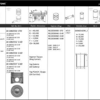 MOTOR PISTON+SEGMANI (RIKEN) ASTRA J CORSA D GRANDE PUNTO1.3CDTI 16V LINEA GRANDE PUNTO 199A3000 MULTIJET – Z13 DTH-A13DTE 16V 4 SIL. DIZEL 1248 CC-66 KW 90PS (EURO 5) [(69,60MM +0,80MM)]
