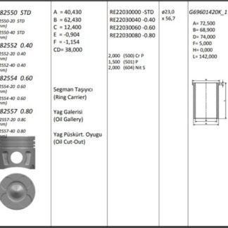 MOTOR PISTON+SEGMANI (RIKEN) ASTRA J CORSA D GRANDE PUNTO1.3CDTI 16V LINEA GRANDE PUNTO 199A3000 MULTIJET – Z13 DTH-A13DTE 16V 4 SIL. DIZEL 1248 CC-66 KW 90PS (EURO 5) [(69,60MM +0,80MM) (0,20MM KISA)]