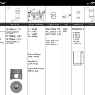 MOTOR PISTON+SEGMAN ( STD ) TRANSIT EURO5 2.2TDCI V347 – V362 – V363 – RANGER 2.2 155PS BOXER – JUMPER 130PS
