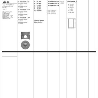 MOTOR PISTON+SEGMAN CLIO KANGOO (PIM CAPI 26MM) (1.5 DCI K9K BP) [(76.00MM STD (+0.50MM)] (0.40 KISA)