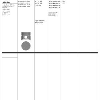 MOTOR PISTON+SEGMAN R19 CLIO MEGANE EXPRES 1.9D F8Q 65PS (80.00MM) / (STD) (ALFINLI)