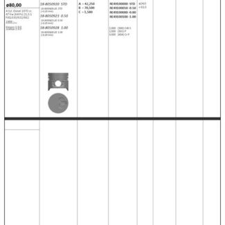 MOTOR PISTON+SEGMAN R19 EXPRES KANGOO DIZEL CUKURLU 1.9D F8Q (80.00MM) / (+0.50MM) (ALFINSIZ) RIKEN SEGMANLI