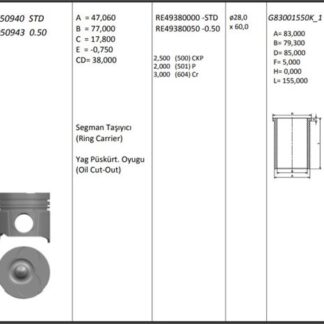 MOTOR PISTON+SEGMAN KANGOO MEGANE LAGUNA TRAFIC SCENIC VIVARO CARISMA 1.9TDI F9Q (80.00MM)