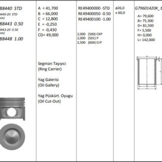 MOTOR PISTON+SEGMANI MEGANE II SCENIC CLIO III MODUS LAGUNA III KANGOO (1.5DCI EURO4 K9K) [(76.00MM STD)]
