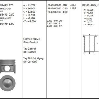 MOTOR PISTON+SEGMANI MEGANE II SCENIC CLIO III MODUS LAGUNA III KANGOO (1.5DCI EURO4 K9K) [(76.00MM STD) (-0.20MM KISA)]