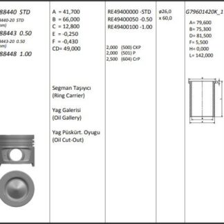 MOTOR PISTON+SEGMANI MEGANE II SCENIC CLIO III MODUS LAGUNA III KANGOO (1.5DCI EURO4 K9K) [(76.00MM) (0.50MM)]