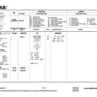 MOTOR PISTON SEGMAN LINEA DOBLO III 1,6 MULTIJET 105HP EURO 5 MOTOR (79.50MM) / (STD)