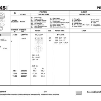 PISTON SEGMAN TAKIM (STD) P308 P3008 PARTNER TEPE P207 P508 P5008 EXPERT III JUMPY III SCUDO III C3 III DS3 DS5 C5 III C4 PICASSO DV6C P301 C ELYSSE P308 DV6DTED (1,6HDI 8V) FORD: FOCUS 1,6TDCI 11> EURO5