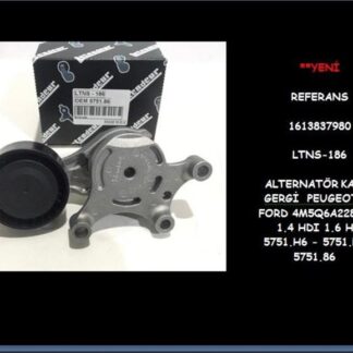 ALTERNATÖR GERGİ RULMANI (KÜTÜKLÜ) P206 1.6HDI 04=> P307 1.4HDI (01-05) 1.6HDI (05-09) P1007 1.4HDI