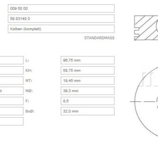 MOTOR PISTON SEGMAN IVECO DAILY DUCATO MASTER 2,8TD EURO 2 (94,40MM) / (STD)
