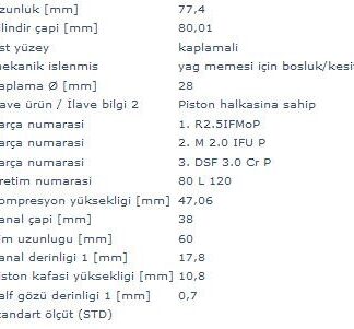 MOTOR PISTON+SEGMAN KANGOO MEGANE LAGUNA TRAFIC SCENIC VIVARO CARISMA 1.9TDI F9Q (80.00MM)