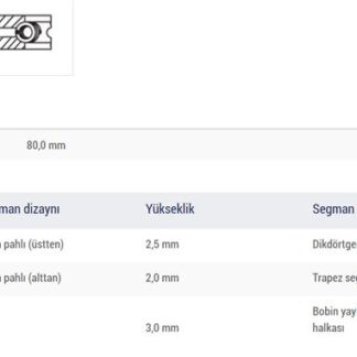 MOTOR SEGMAN KANGOO MEGANE LAGUNA 1.9 F9Q TRAFIC II 1.9TDI VIVARO 1.9 CDTI 8V (80.00MM) / (STD)