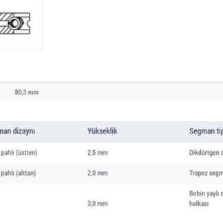 MOTOR SEGMAN KANGOO MEGANE LAGUNA 1.9 F9Q TRAFIC II 1.9TDI VIVARO 1.9 CDTI 8V (80.00MM) / (+0.50MM)